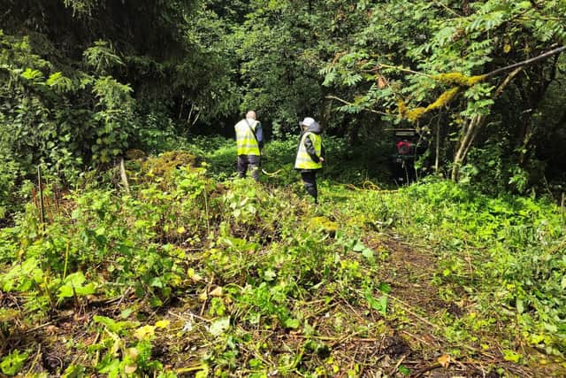 Nestlé Waters is working with a specialist company who use innovative thermo-electric technology to eradicate the plant. The Japanese Knotweed Agency use 5,000 volts of electricity to the stems, crowns, and root system of the knotweed, destroying its internal cell structure, and making it impossible to grow back. Pic Nestle Waters