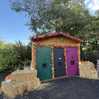 Polar bears and pumpkins - its all happening at Peak Wildlife Park this Halloween
