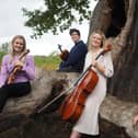 The BIF Chamber Ensemble