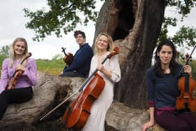 The BIF Chamber Ensemble
