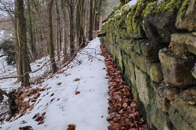 The existing stone will be reused to build a new, one metre high wall, using mortar with extensive concrete foundations up to half a metre deep. Image: Derbyshire County Council