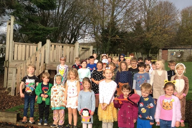 Pupils at Litton Primary School, Buxton had a non-uniform day for raise pounds for Pudsey. pic submitted.
