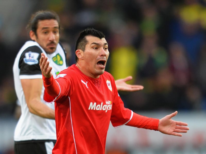Record signing: Gary Medel. Estimated transfer fee: £11m (from Sevilla in 2013. Current club: He spent just one season with Cardiff, before joining Inter. He's now turning out for Bologna, after spending a couple of seasons in Turkey with Besiktas.