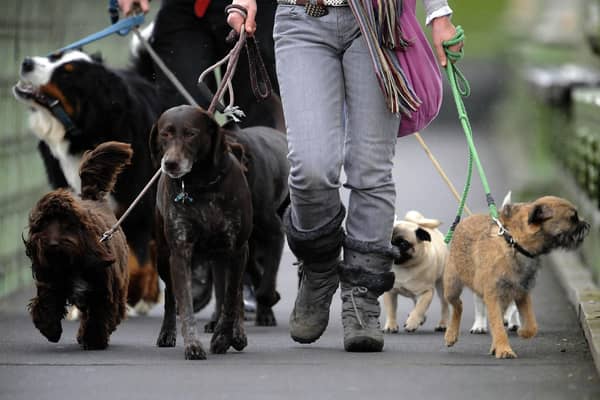 The Dogs Trust says basic dog training is "not enough" in preventing pets from biting