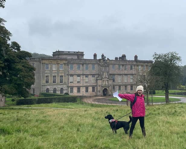 Walk your dog with Hearing Dogs at Lyme Park and change lives!