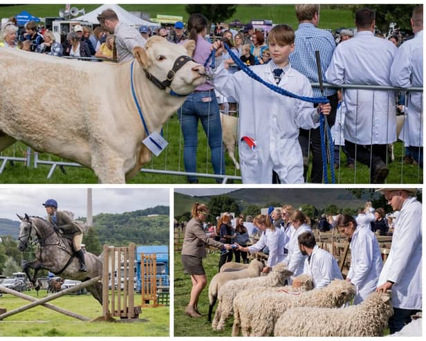 Keen competition in the livestock and horse classes at Hope Show.