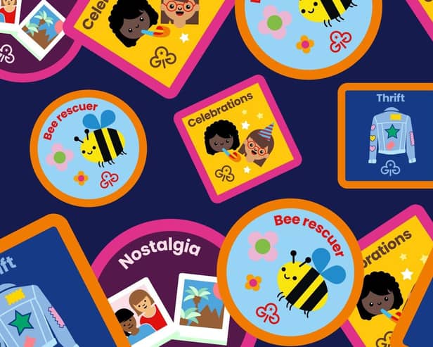 Designs of the new bee rescuer, celebrations, thrift, and nostalgia badges