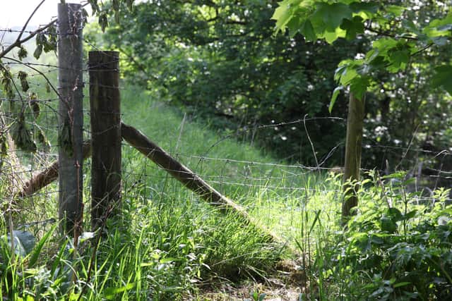 Fencing around the quarry was cut to gain entry