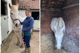 Mara is on the mend after being given the once over by vet Millie.