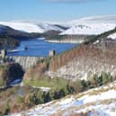 Howden dam, ancient woodland and wild moorland could be 'drowned'. Pic by Severn Trent Water.