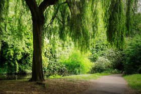 Mental health charity Mind says regular access to green spaces can improve people's moods and reduce stress