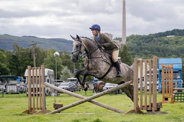 Sophie Judge on Wexford Seaboy competes in showjumping.