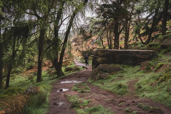 The Roaches, Peak District