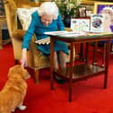 What will happen to the Queen's corgis? (photo: Getty Images)