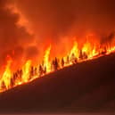 Climate fears over holiday plans (Adobe)