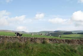 The dairy herd has been moved to Somerset.