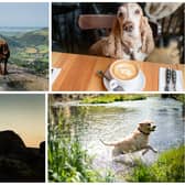 The first of Britain’s national parks - the Peak District’s rugged mountains and expansive lowlands offer plenty for our furry friends to enjoy.