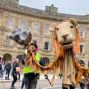 The Lost Cats Parade prowled past The Crescent. Pic Buxton Our Street