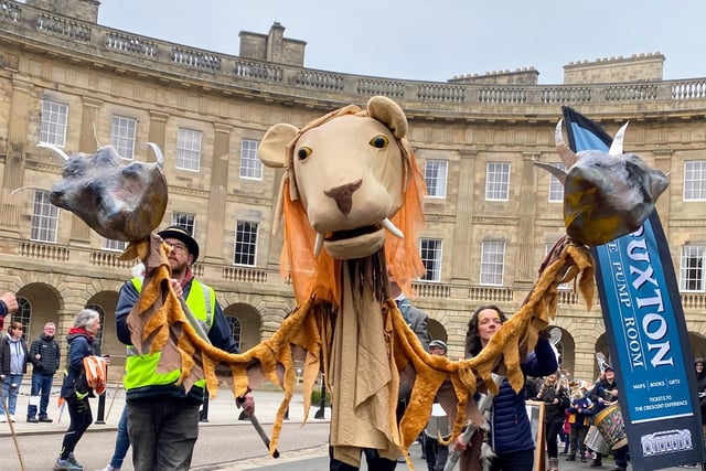 The Lost Cats Parade prowled past The Crescent. Pic Buxton Our Street