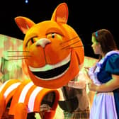 The iconic Cheshire Cat in the Wise Owl Theatre production of The Adventures in Alice in Wonderland. Pic submitted