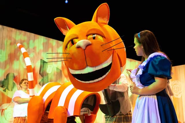 The iconic Cheshire Cat in the Wise Owl Theatre production of The Adventures in Alice in Wonderland. Pic submitted