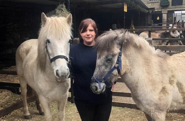 Melissa Underwood with Eriskay ponies.
