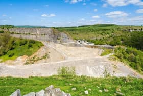 The Topley Pike quarry operators, near Buxton, are working with the Peak District National Park to restore a former waste area for nature.