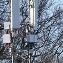 A new 25m communications mast has been approved for Harpur Hill. Photo Jason Chadwick