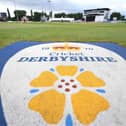 Derbyshire 's game at home to Essex was abandoned after a Derbyshire player tested positive for COVID. (Photo by Tony Marshall/Getty Images)