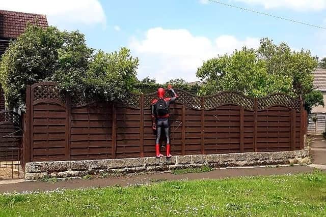 Spiderman waves to unsuspecting residents over a garden fence
