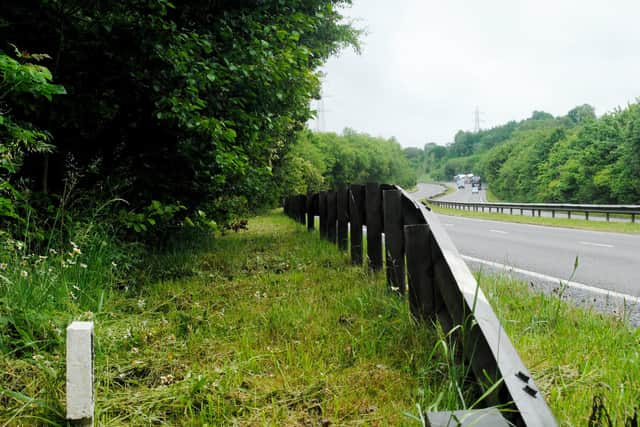 Chapel-en-le-Frith bypass after its wildflowers were cut back this month