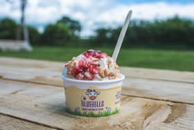 Bluebell Dairy Ice Cream. Photo: Bluebell Dairy