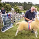 Sheep competitions will form part of Bakewell Country Festival (photo: Adam Elijah Photography)