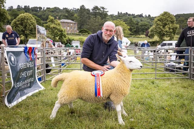 Sheep competitions will form part of Bakewell Country Festival (photo: Adam Elijah Photography)