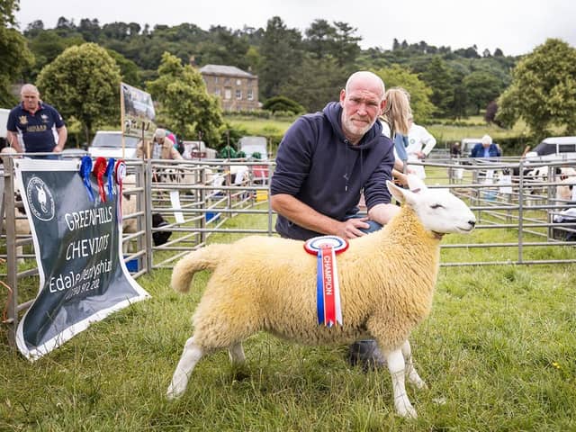 Sheep competitions will form part of Bakewell Country Festival (photo: Adam Elijah Photography)
