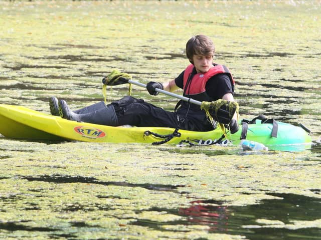 Leo Mycock on the Pavilion Gardens lake earlier this week. (Photo: Jason Chadwick)