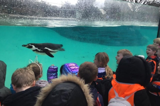 The children's faces were of pure joy when they saw a penguin. Photo submitted