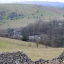 The woodland around Cressbrook Dale is categorised among the most ecologically sensitive areas in the national park. (Photo: Jason Chadwick)
