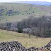 The woodland around Cressbrook Dale is categorised among the most ecologically sensitive areas in the national park. (Photo: Jason Chadwick)