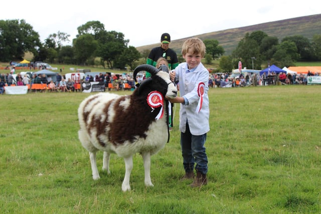 Young Handler winner Bertie Stanley with his prize-winning Jacob sheep.