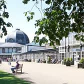 A Buxton resident has called for action to tackle the 'disgusting' problem of goose poo in the Pavilion Gardens