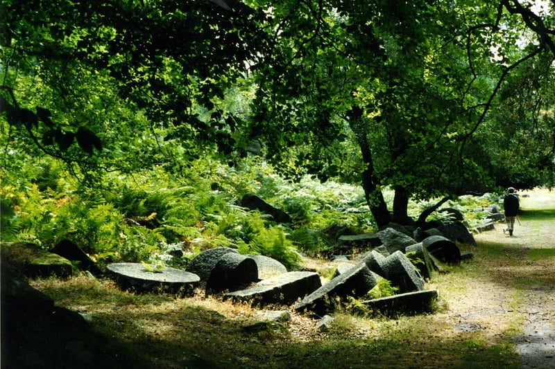 Longshaw Estate boasts over 1,500 acres of moorlands, woods and dramatic views over the Derwent Valley