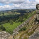 A cash injection of more than £1million will enable 105 hectares of new woodland to be planted in the Peak District.