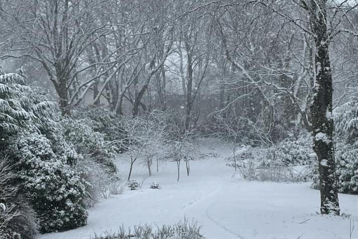 Buxton has been transformed into a winter wonderland. Photo Deborah Ward