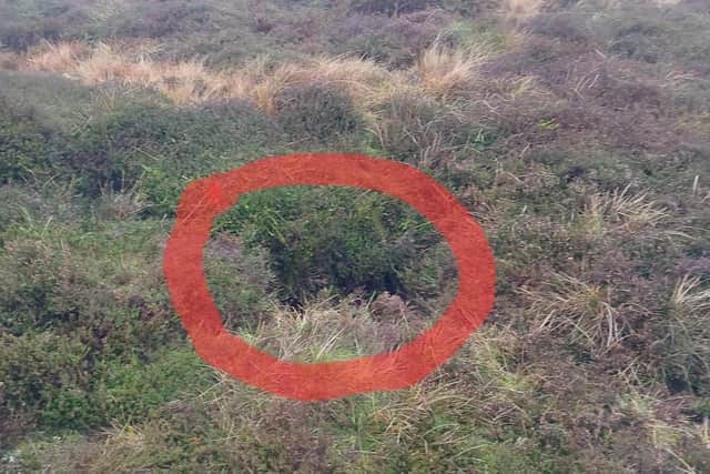 The pothole (red circle) which Gracie fell down