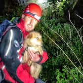 A Buxton Mountain Rescue Team member with the rescued dog.