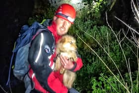 A Buxton Mountain Rescue Team member with the rescued dog.