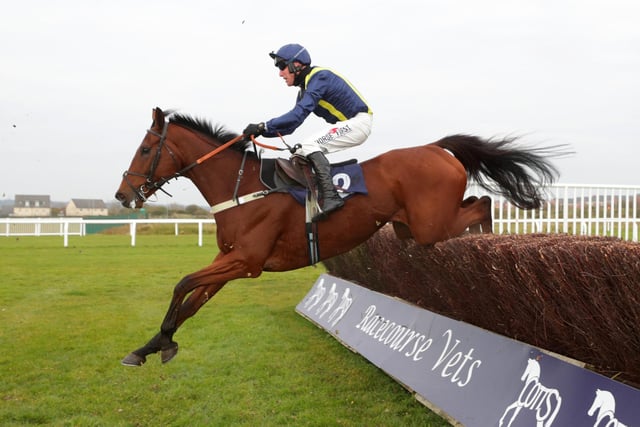 High-class, consistent 8yo who, in my view, is comfortably the pick of the UK-trained contingent in the race. Admirably, Colin Tizzard's charge has failed to make the frame only once in 18 starts and has regularly kept company in Grade One or Grade Two contests. Endured a worryingly hard prep race six weeks ago and has never won over 3m or further, but he's tough and has shown enough to suggest he'll stay Aintree's marathon trip.