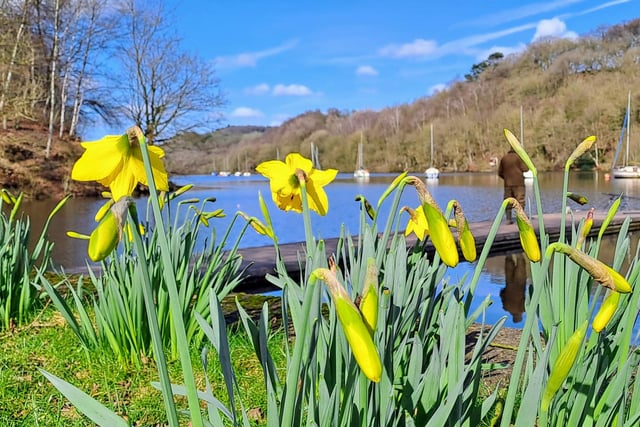 ​A colourful offering from Marie Keable, taken during a trip to Rudyard Lake.
