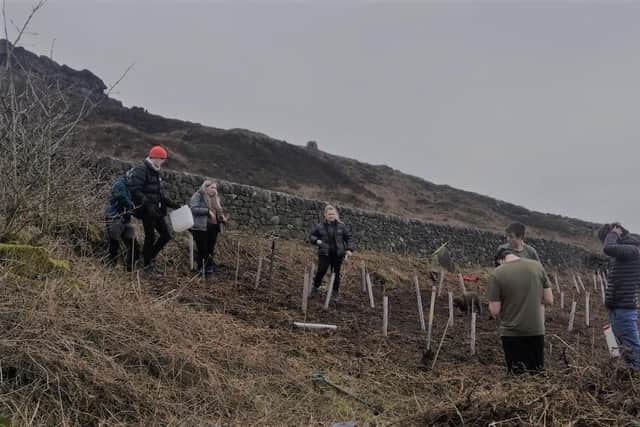 Students from Buxton and Leek College have planted trees at two sites